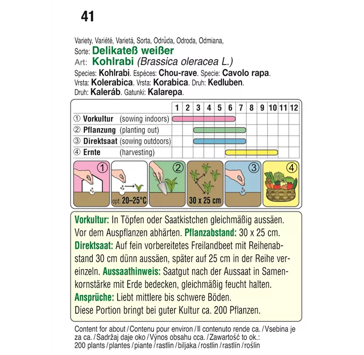 Kohlrabi Delikatess Weißer