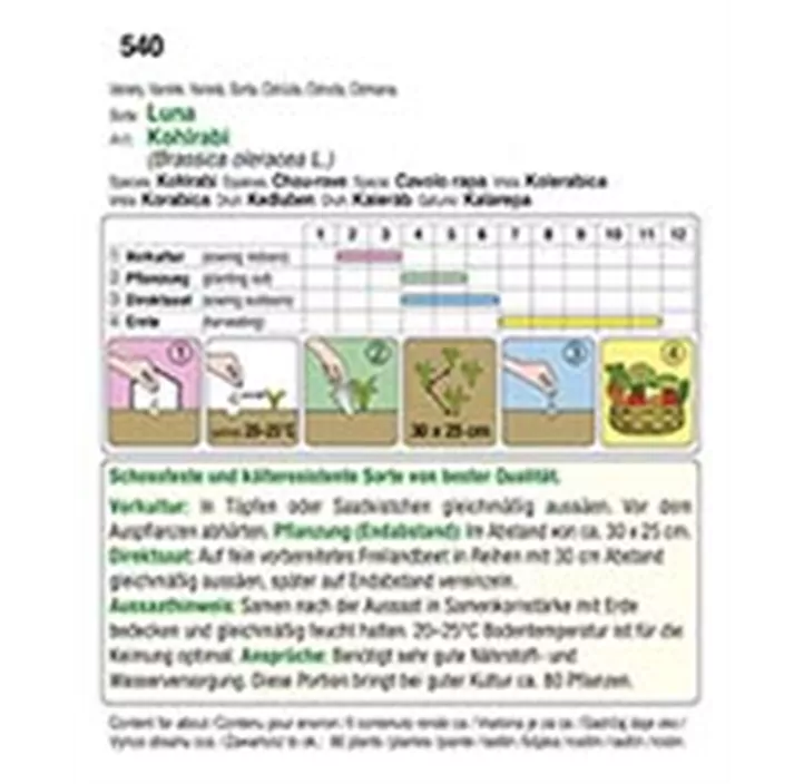 Kohlrabi weiß Lanro Luna