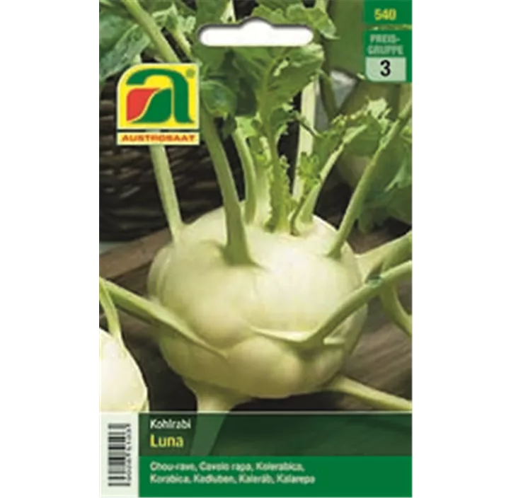 Kohlrabi weiß Lanro Luna