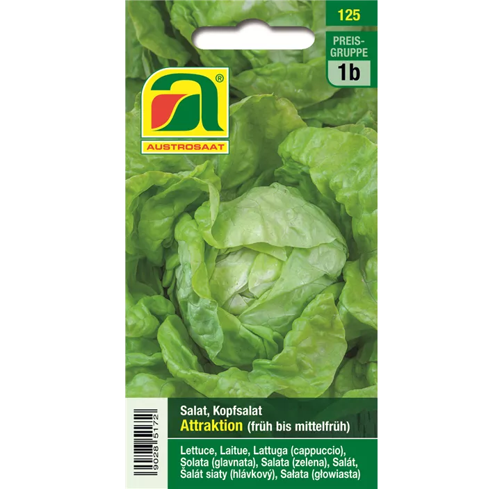 Kopfsalat Attraktion