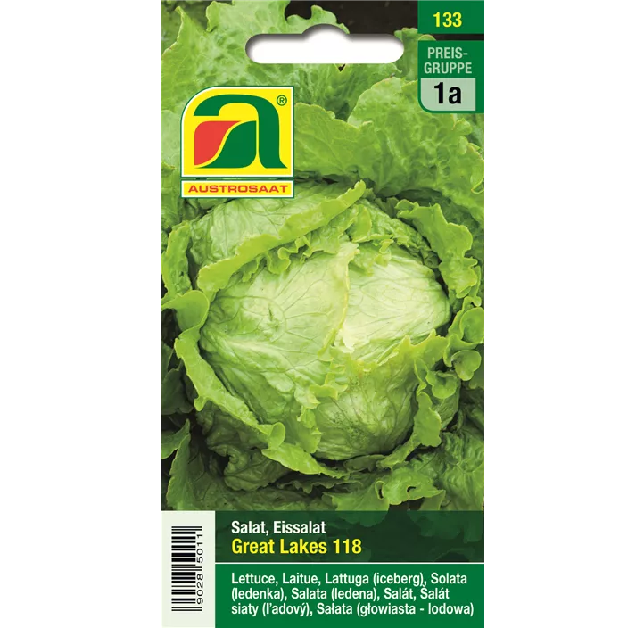Kopfsalat Great Lakes 118