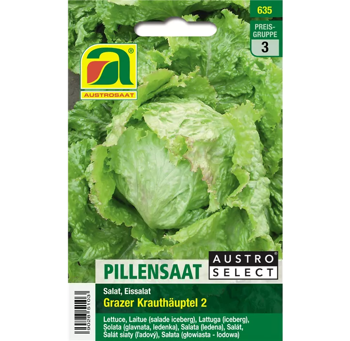 Kopfsalat pilliert Grazer Krauthäuptl