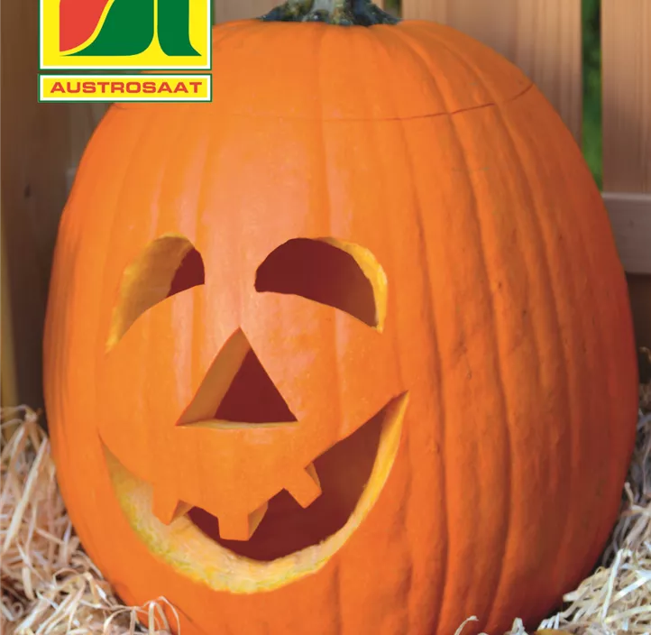 Kürbis Halloween Howden