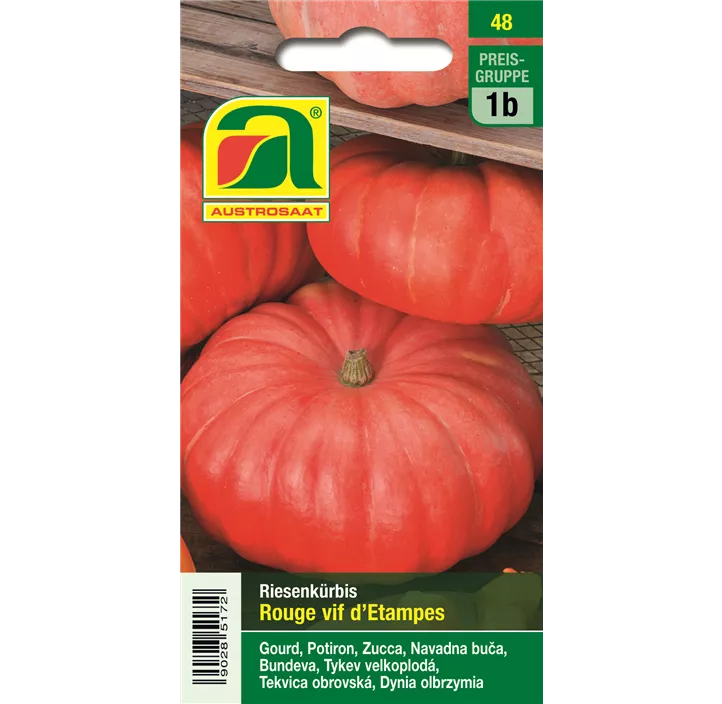 Kürbis Rouge Vif D Etampes