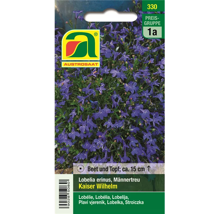 Lobelia Kaiser Wilhelm blau einjährig