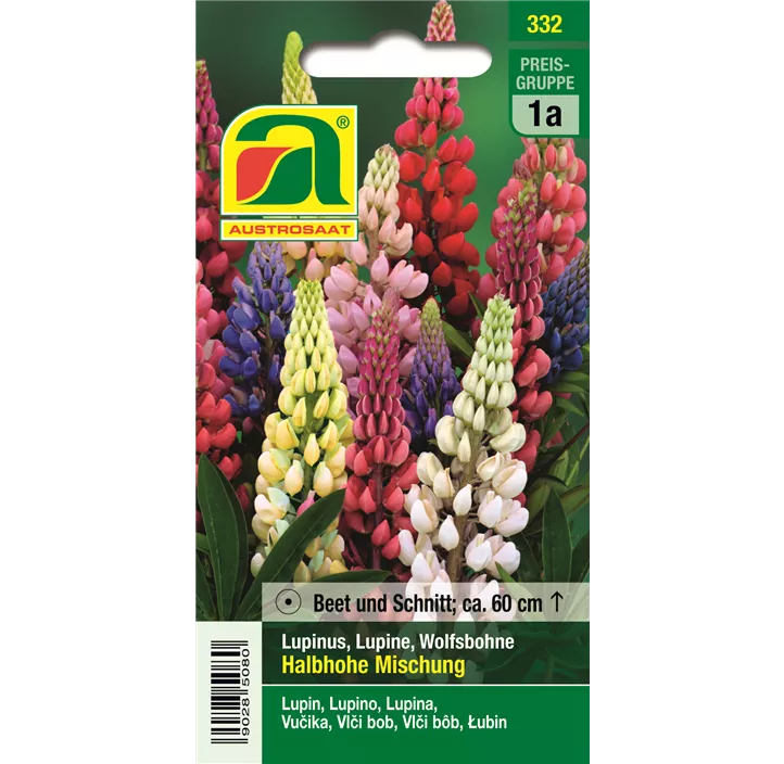 Lupinen Mischung einjährig