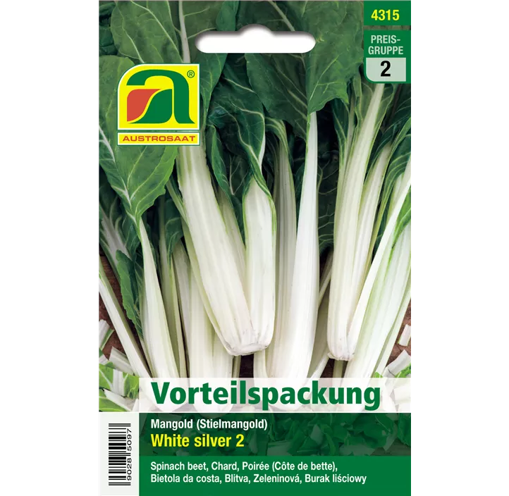 Mangold 'White Silver 2'