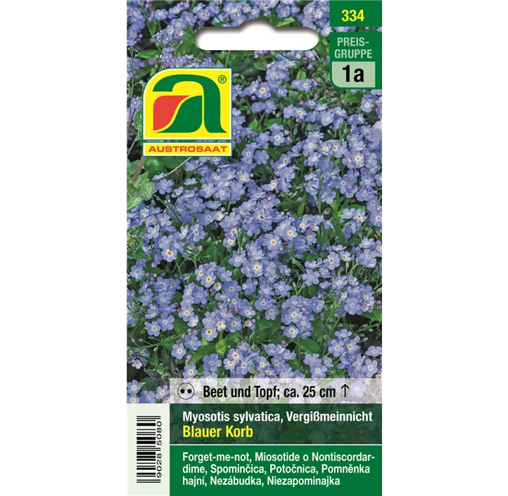 Myosotis Blauer Korb zweijährig