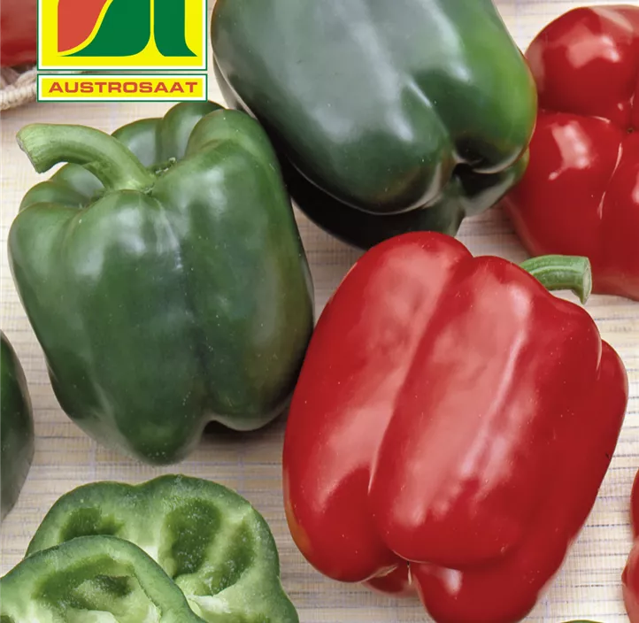 Paprika California Wonder  Paprika California Wonder