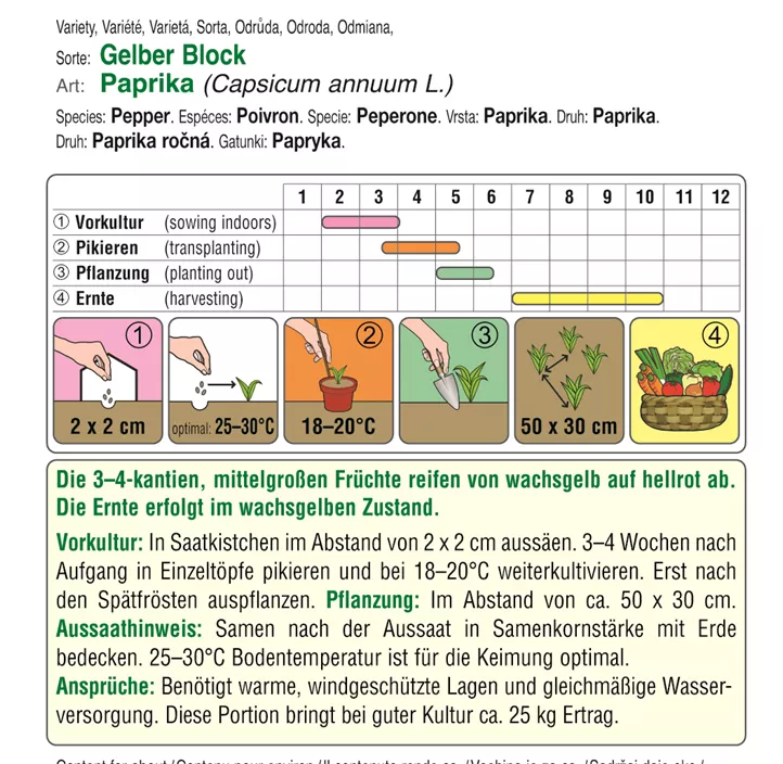 Paprika gelber Block