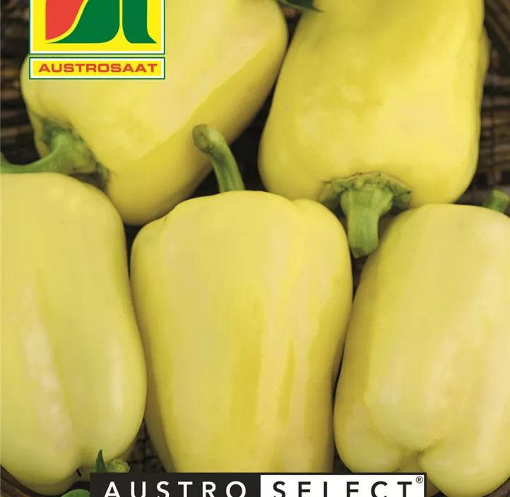 Paprika gelber Block