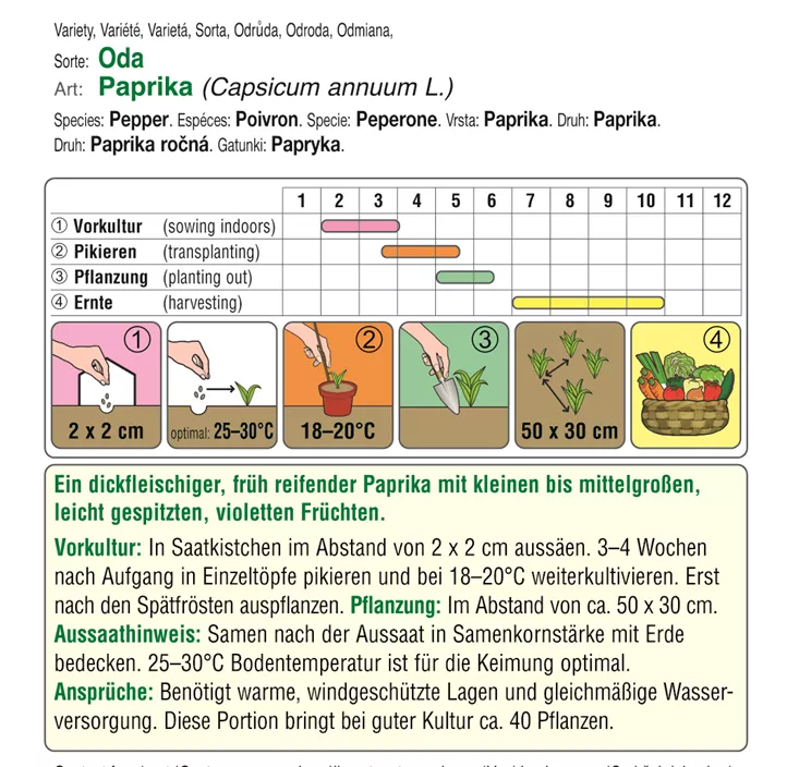Paprika Oda violett 