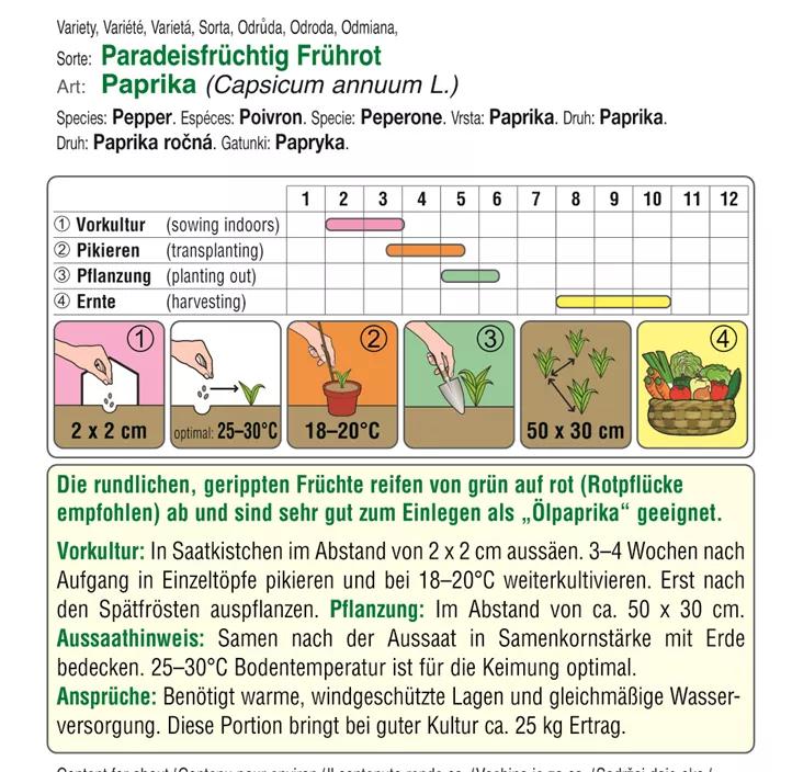 Paprika Paradeisfrüchtig Frührot