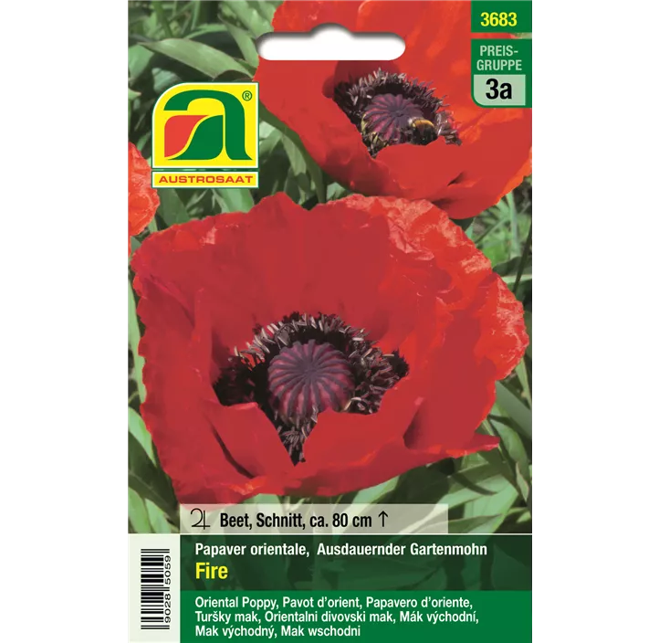 Papaver orientale Fire