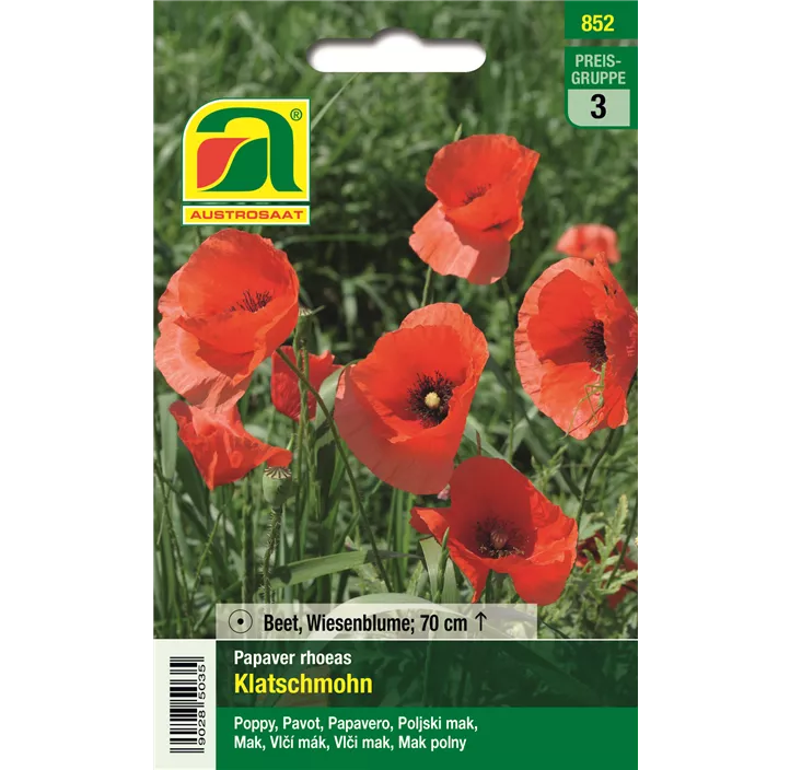 Papaver rhoeas gefüllte Mischung einjährig