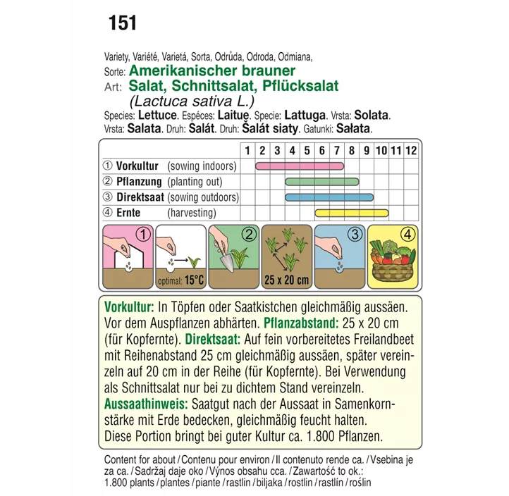 Pflücksalat amerikanischer Brauner
