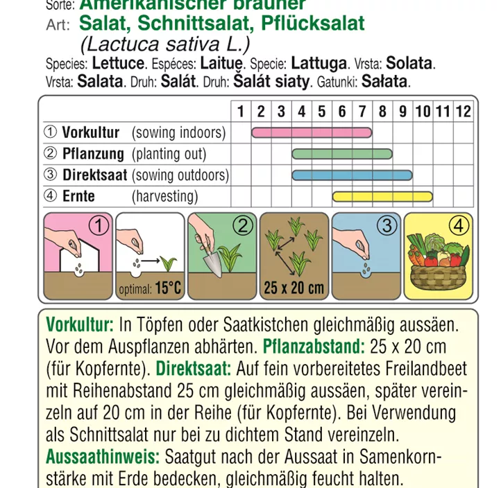 Pflücksalat amerikanischer Brauner