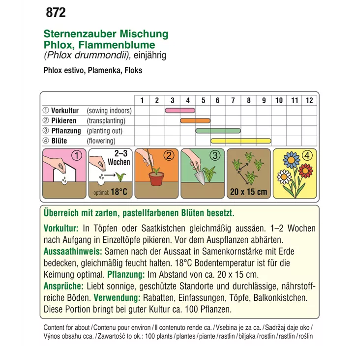 Phlox Sternenzauber Mischung einjährig