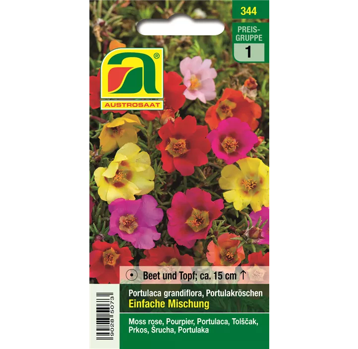 Portulaca einfache Mischung einjährig