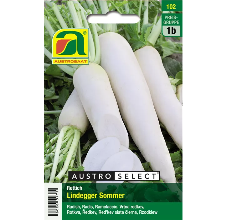 Rettich Lindegger Sommer Austrosaat