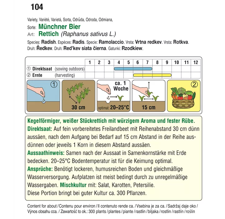 Rettich Münchner Bier