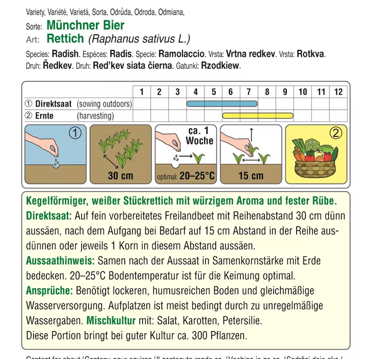 Rettich Münchner Bier