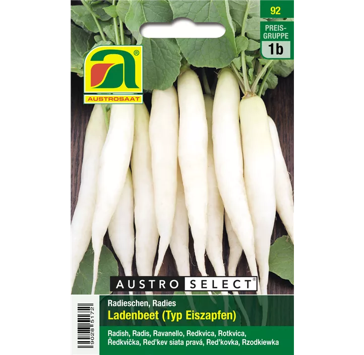 Radies Ladenbeet