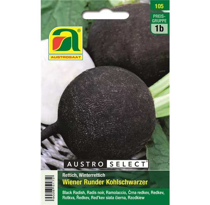 Rettich Wiener Runder Kohlschwarzer