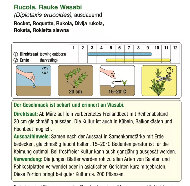 Rucola Rauke Wasabi
