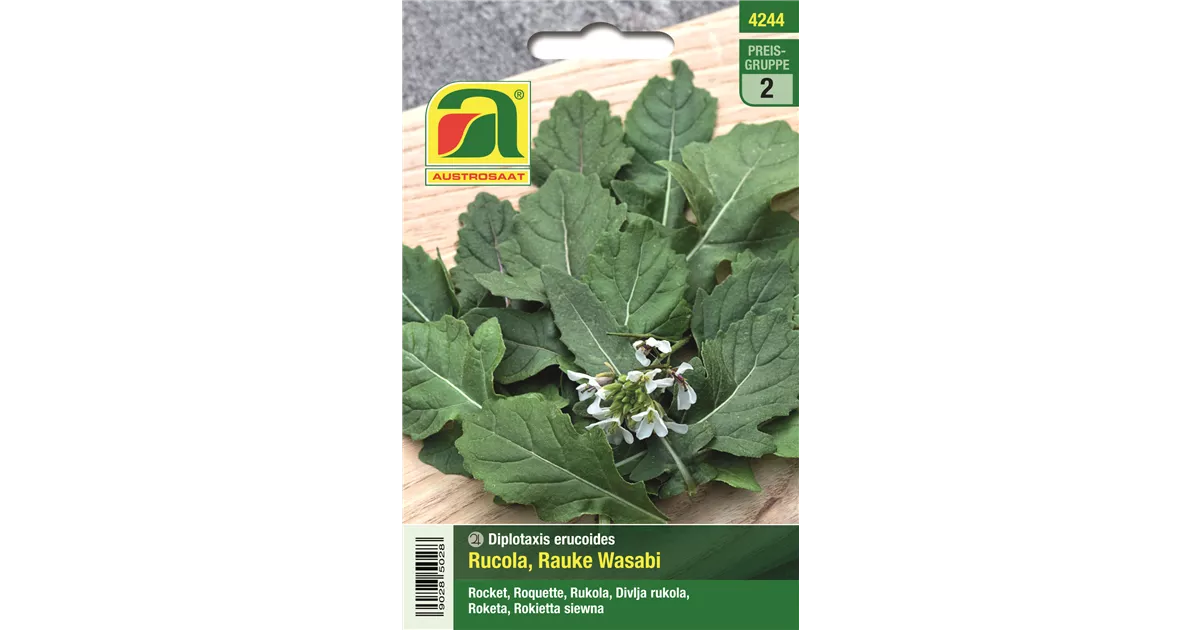 Rucola Rauke Wasabi - Bellaflora
