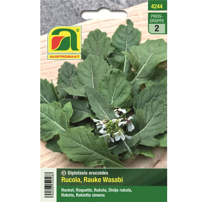 Rucola Rauke Wasabi