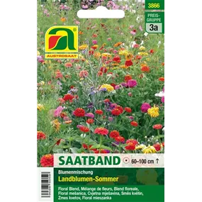 Saatband Landblumen Sommer