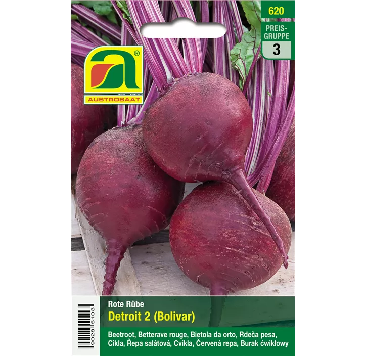 Rote Rübe Detroit 2 Bolivar
