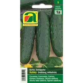 Salatgurke Ashley