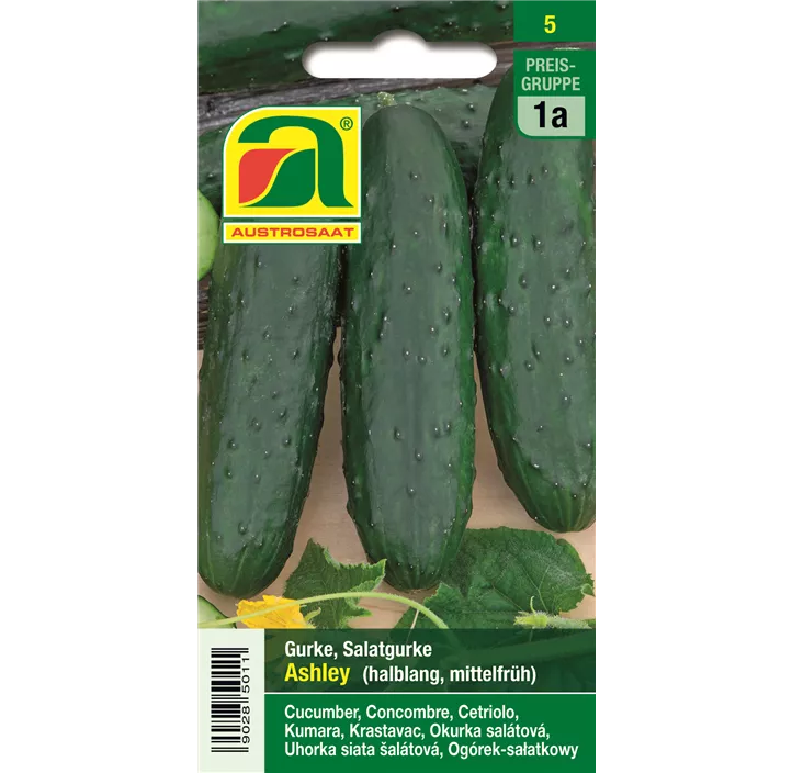 Salatgurke Ashley