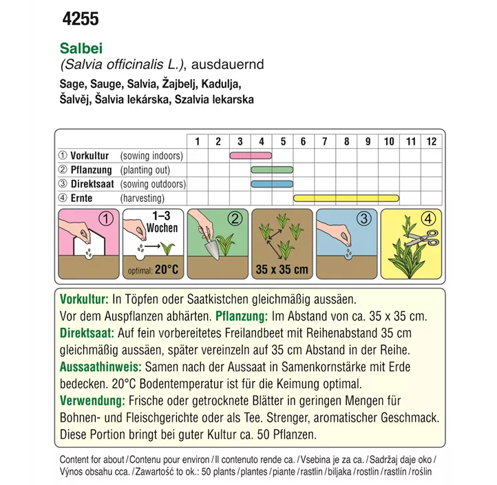 Salbei