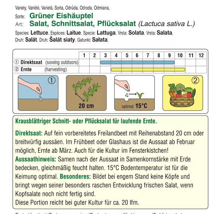 Schnittsalat Grüner Eishäuptel
