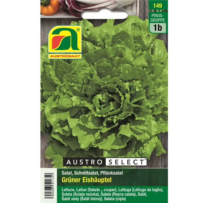 Schnittsalat Grüner Eishäuptel