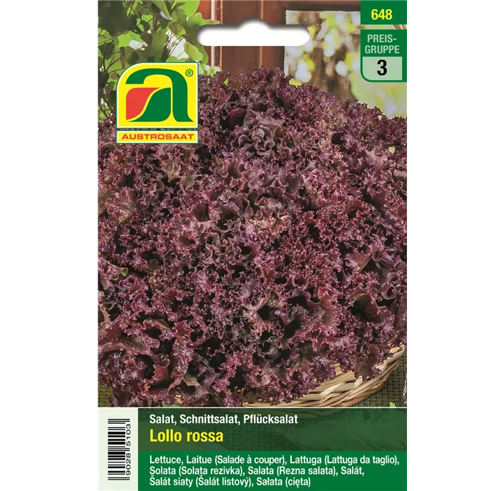Schnittsalat Lollo Rossa