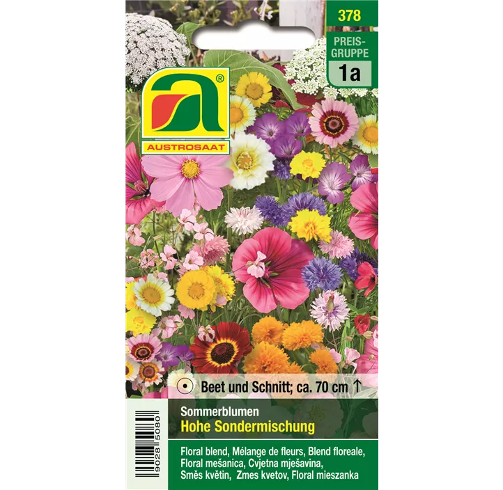 Sommerblumen hohe Mischung