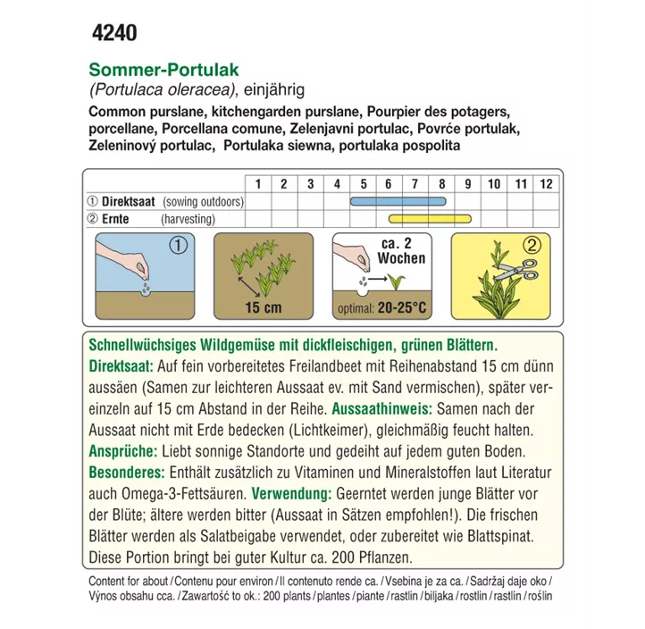 Sommerportulak