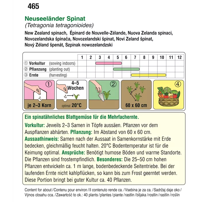 Spinat Neuseeländer