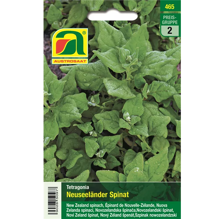 Spinat Neuseeländer
