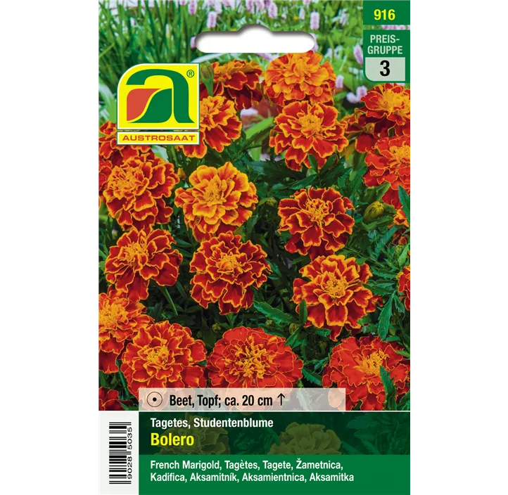 Tagetes patula Bolero rot mit gelb