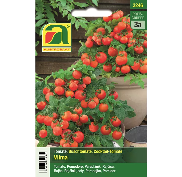 Tomate Vilma