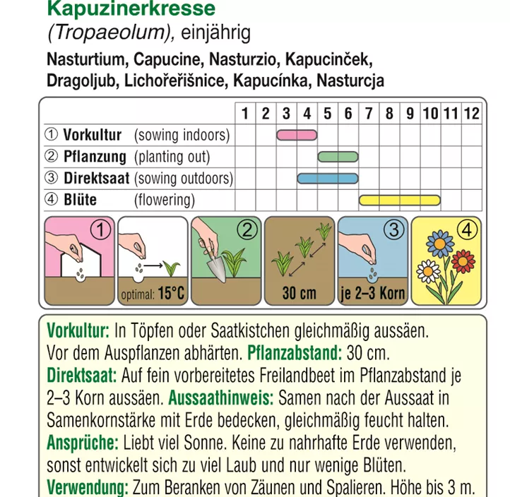Tropaeolum hohe einfache einjährig