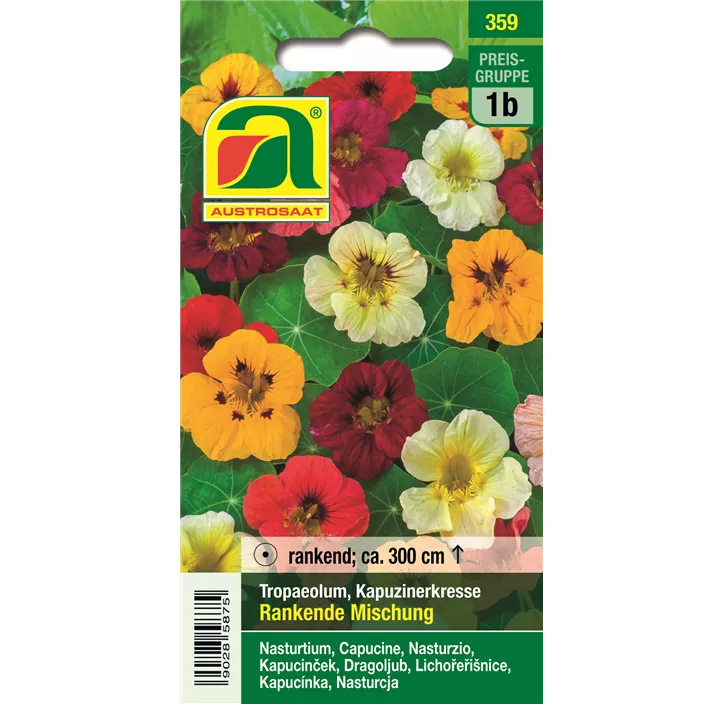 Tropaeolum hohe einfache einjährig