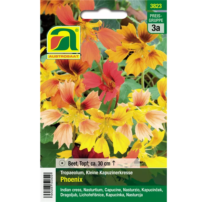 Tropaeolum minus Phoenix