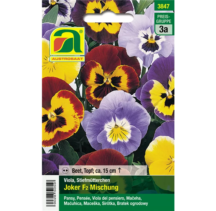 Viola Joker F2 Mischung