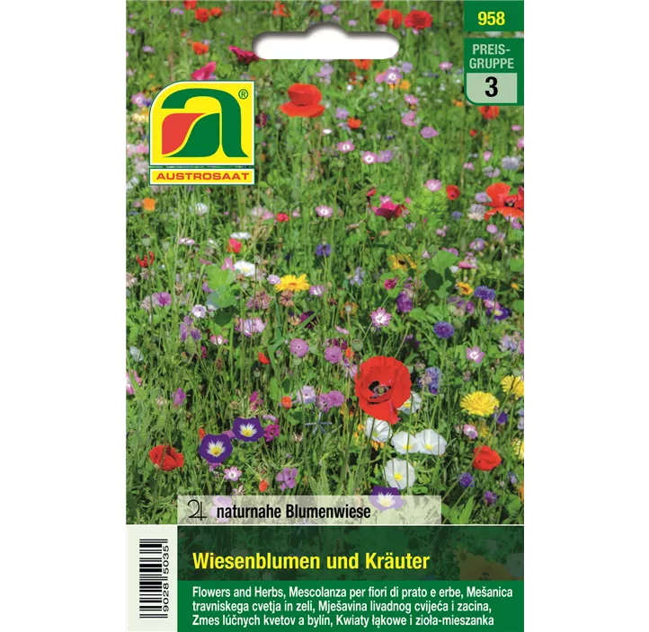 Wiesenblumen Kräuterwiese Mischung